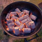 Coconut Charcoal Briquette The Ultimate Eco-Friendly Fuel